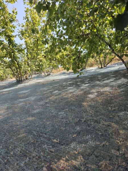 İskele Koruma Filesi - Gölgelik Filesi-Fındık Toplama Filesi-Zeytin Filesi FG 70*75 %75 1*100m